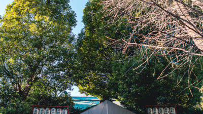 明けましておめでとうございます。2026年