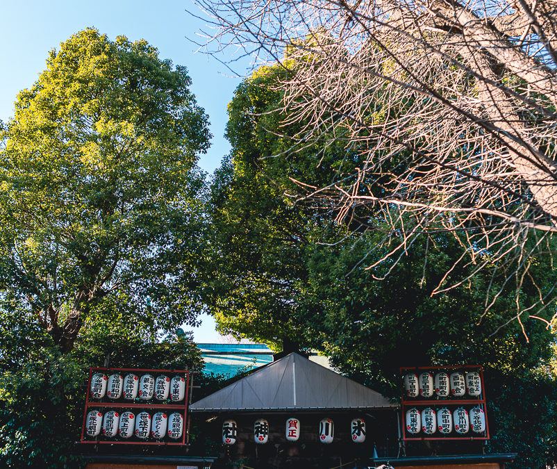 明けましておめでとうございます。2026年